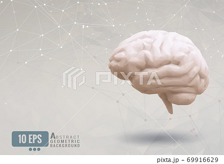 Vector low poly brain on abstract geometric BG 69916629