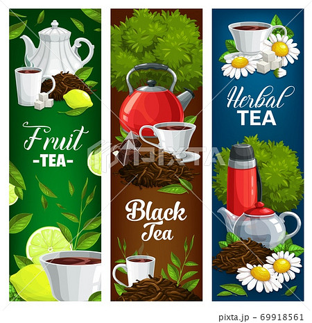 Herbal, fruit and black tea vector banners set 69918561