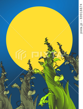 Beanstalk drawing illustration isolated on moon sky BG 69918874