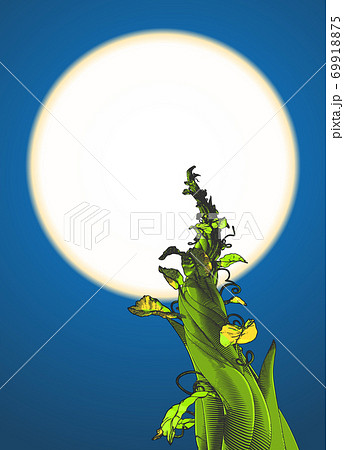 Beanstalk drawing illustration isolated on moon sky BG 69918875