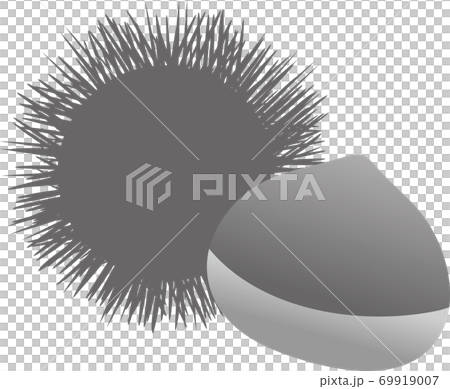 くりのイラストのイラスト素材