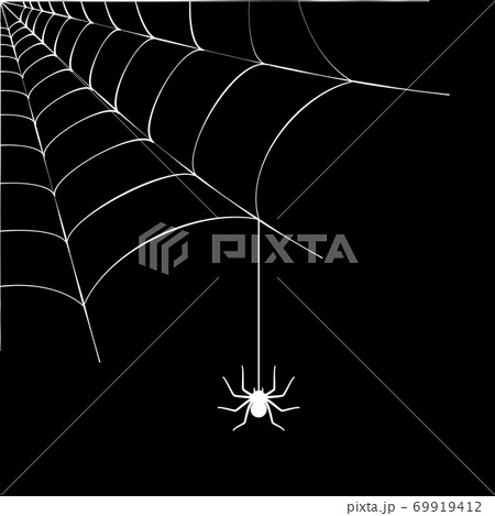 Spider web concept Spider web concept 69919412