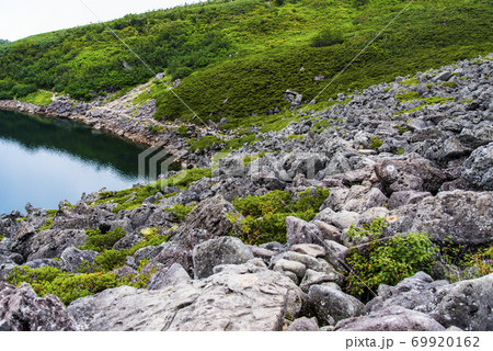 白馬大池と安山岩の登山道 69920162