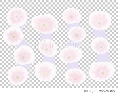 パステルピンクの蓮の花背景素材 69920309