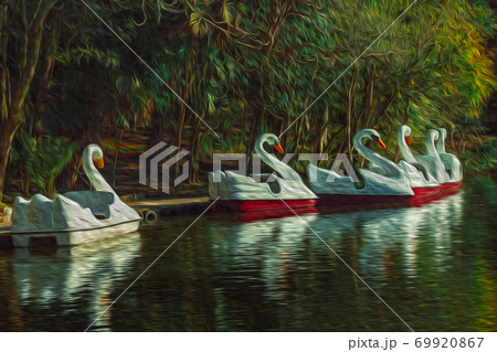 Pedal boats in the shape of swan on a lake 69920867