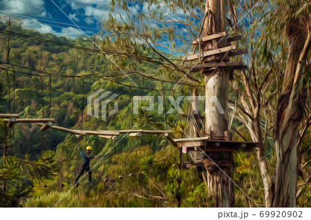 Man practicing tree climbing in a forest 69920902