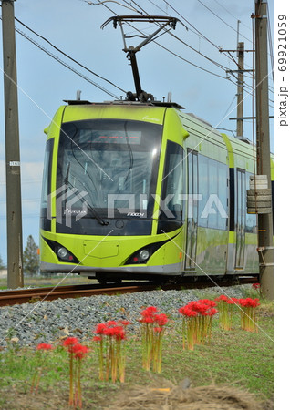 フクラム 69921059