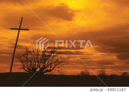 Crucifix and leafless tree with orange cloudy sky 69921187