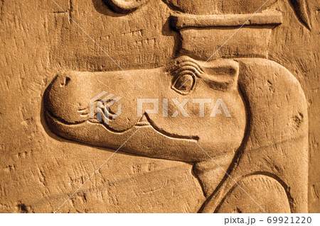 Crocodile head at the Kom Ombo temple in Egypt Crocodile head at the Kom Ombo temple in Egypt 69921220