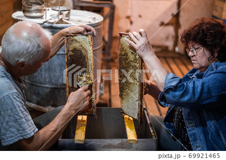 Hand using a scraper to clog honeycombs with honey in a frame. Beekeeper Unseal Honeycomb. Hand using a scraper to clog honeycombs with honey in a frame. Beekeeper Unseal Honeycomb. 69921465