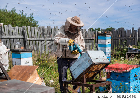 Beekeeper uses air-blowing device to brush bees aside. Bees swarm in collection container. Beekeeper handles receptacle with queen bee Beekeeper uses air-blowing device to brush bees aside. Bees swarm in collection container. Beekeeper handles receptacle with queen bee 69921469
