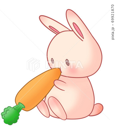 うさぎとにんじんのイラスト素材