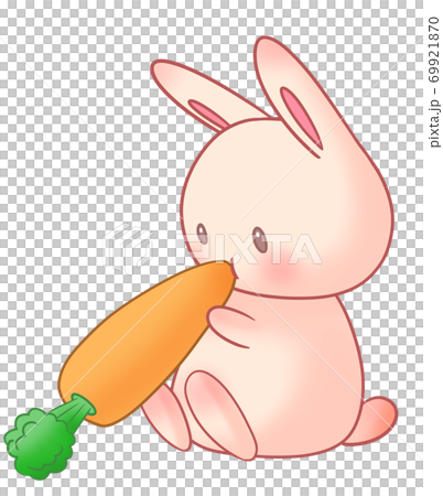 兔子和胡蘿蔔 69921870