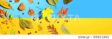 Colorful autumn leaves overhead view 69921882