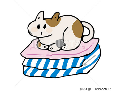 衣類の上に座る猫 69922617