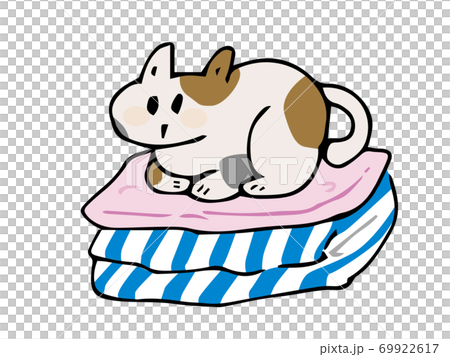 貓坐在衣服上 69922617