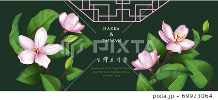 ブルーミング 開花 咲く 69923064