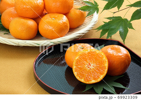 ハウス蜜柑 ハウス蜜柑 69923309