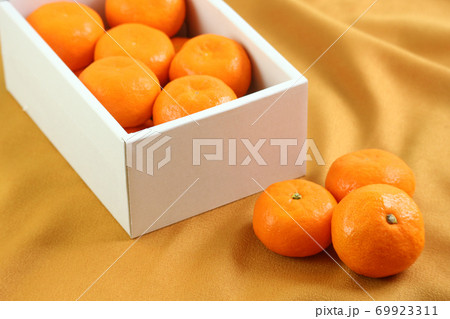 高級蜜柑のイメージ 69923311