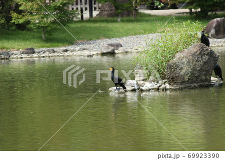 野鳥休憩 野鳥休憩 69923390