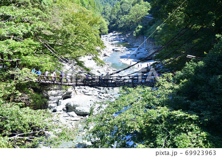 スリル満点の祖谷のかずら橋 スリル満点の祖谷のかずら橋 69923963