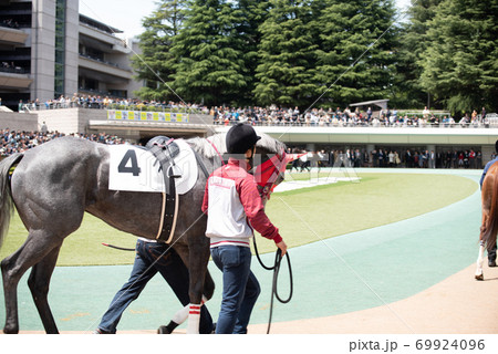 パドック 69924096