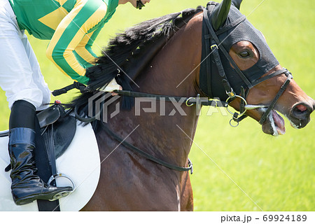 競馬場 競馬場 69924189