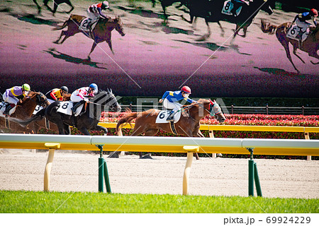 競馬場 競馬場 69924229