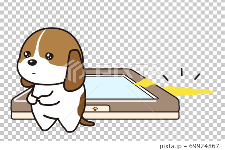 便器からはみ出しておしっこをしてしまった子犬　ビーグル犬 69924867