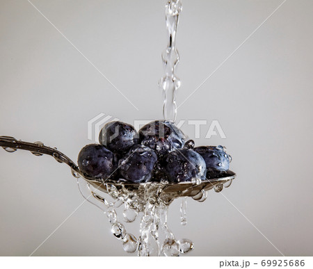 Blueberries on a Spoon 69925686