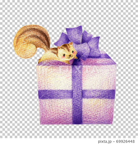 プレゼントとりす 手描き色鉛筆画のイラスト素材 [69926448] - PIXTA
