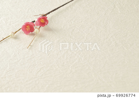 梅の小枝 69926774