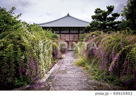 常林寺の萩 69926802