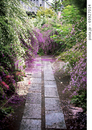 勝念寺の萩 69927014