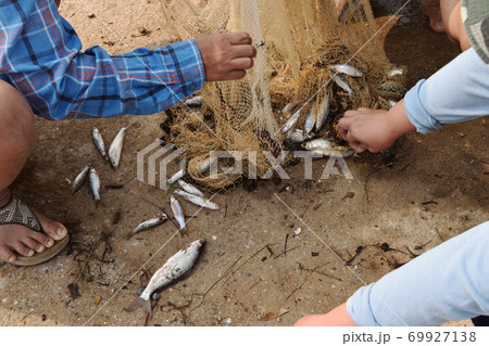 Many freshwater fishes caught with local tool , Fisherman hands take fish off fishing net , Thailand	 69927138