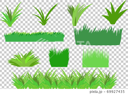 生茂る草・小さく生える草など草のイラストセットのイラスト素材 ...