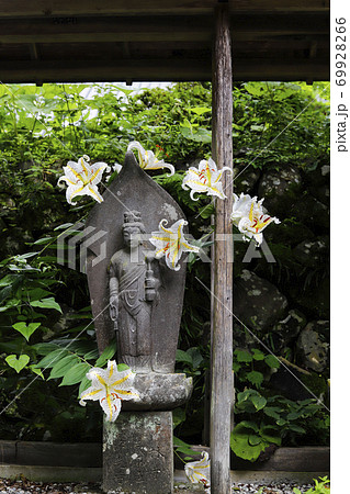 【山梨県】初夏の海岸寺境内　守屋貞治の百体観音とヤマユリの花 69928266