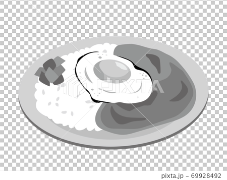 お皿に乗った日本風のカレーライス 目玉焼きのカレー のイラスト素材