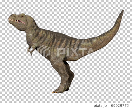 T-REX ☆ Tyrannosaurus - Stock Illustration [69929773] - PIXTA