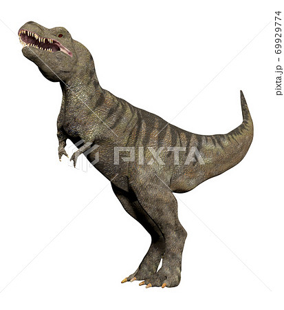 T-REX☆ティラノサウルス 69929774