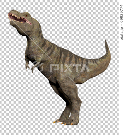 T-REX☆ティラノサウルス 69929774