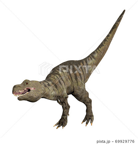T-REX☆ティラノサウルス 69929776