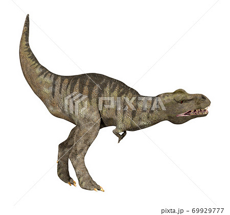 T-REX☆ティラノサウルス 69929777