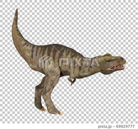 T-REX☆ティラノサウルス 69929777