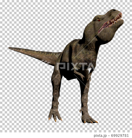 T-REX☆ティラノサウルス 69929781