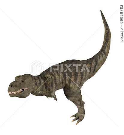 T Rex ティラノサウルスのイラスト素材