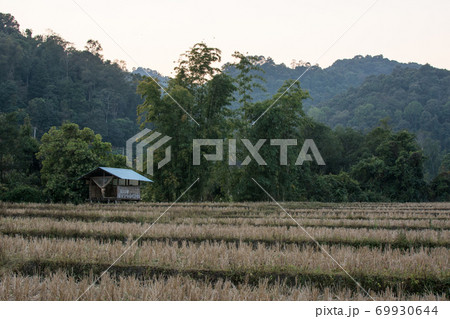 village with  rice terraces field in Mae Klang 69930644