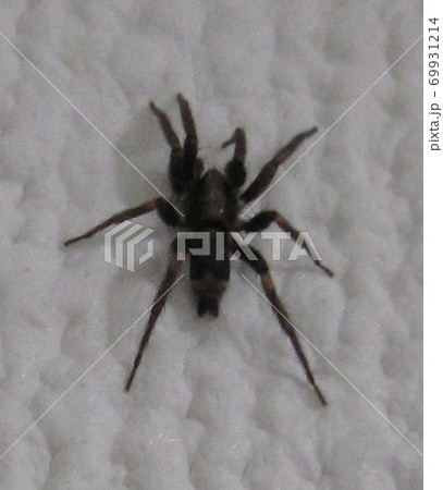 C2101 C2101 69931214