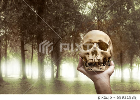 Hand holding a human skull on the haunted forest 69931938