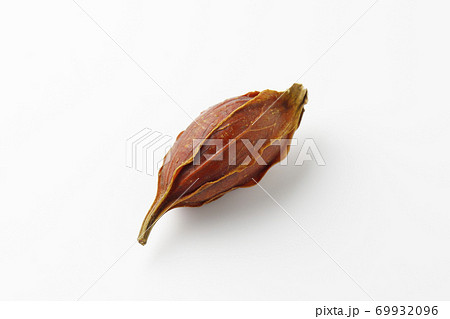 くちなしの実 69932096